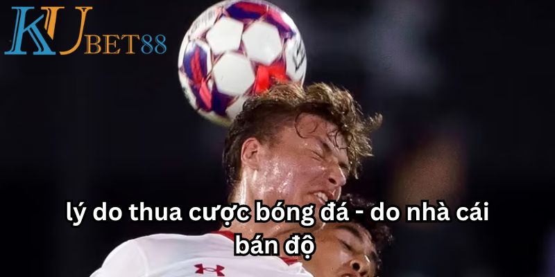 Lý do thua cược bóng đá - Nhà cái bán độ